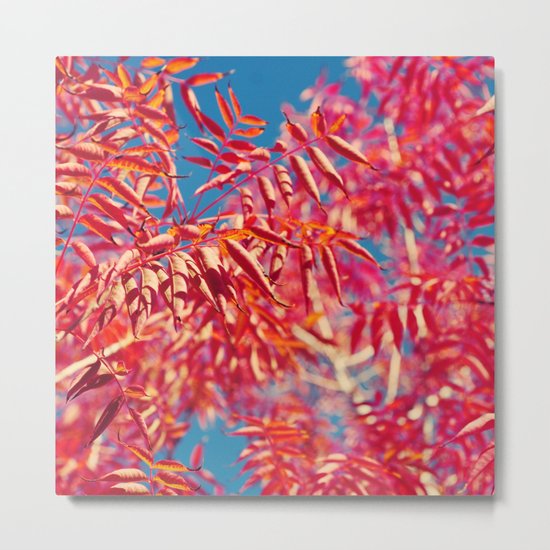 Ablaze... Metal Print