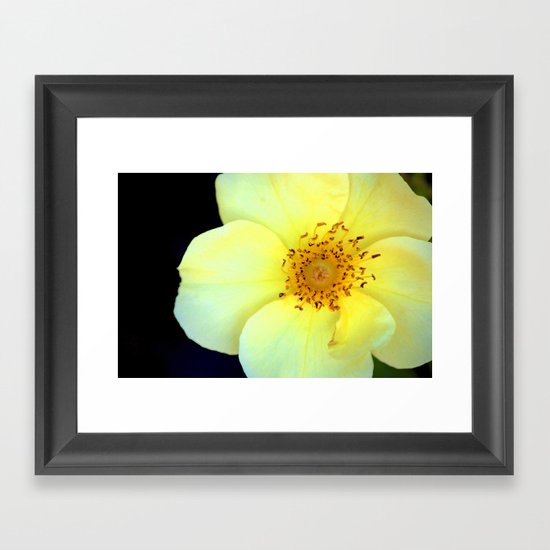 Yellow Bloom Framed Art Print