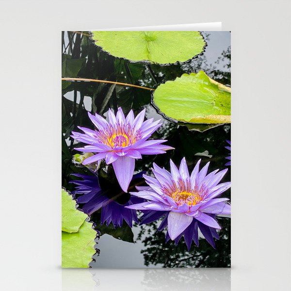 Purple Water Lillies Stationery Cards