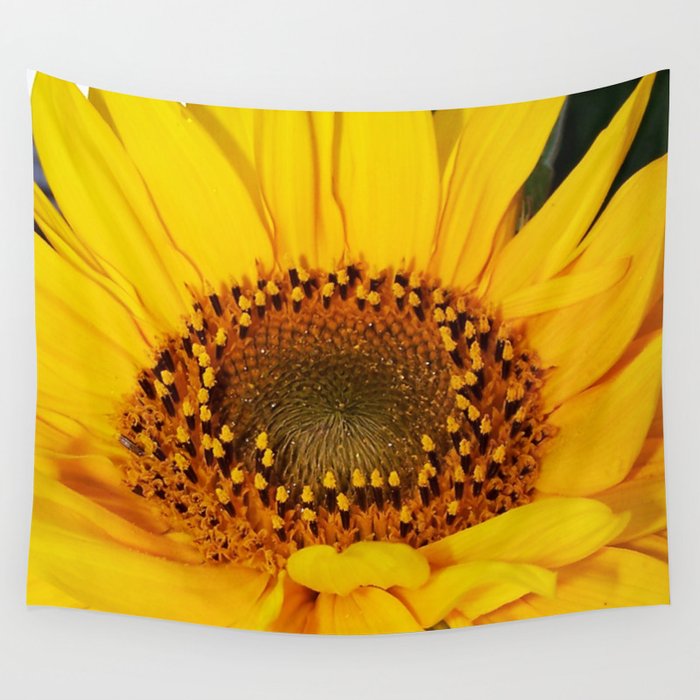 Single Sunflower Wall Tapestry by Dan By The Sea | Society6