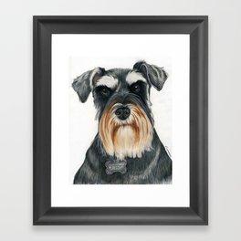 Daisy Framed Art Print