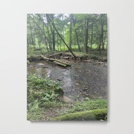 Sitting Streamside  Metal Print | Digital, Woods, Plants, Tranquil, Serene, Photo, Forest, Landscape, Color, Outdoors 