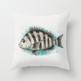 "Sheepshead Splash" by Amber Marine ~ Watercolor Fish Painting (Copyright 2016) Throw Pillow