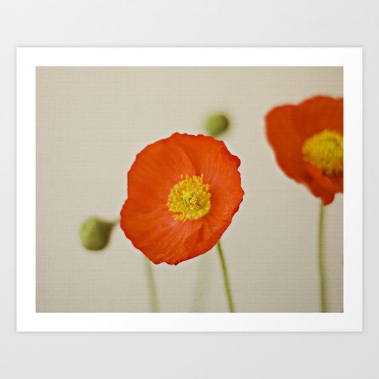 Poppy Flower Red Orange Yellow Bloom Art Print