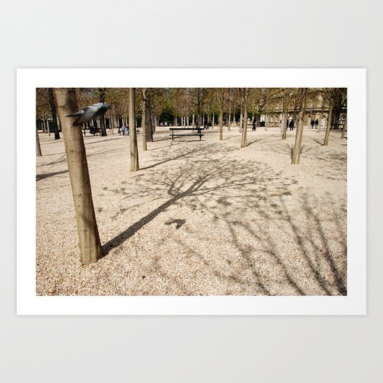 Tree & Shadow Art Print