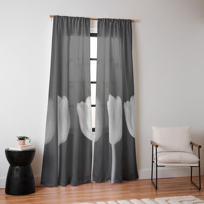Window Curtain