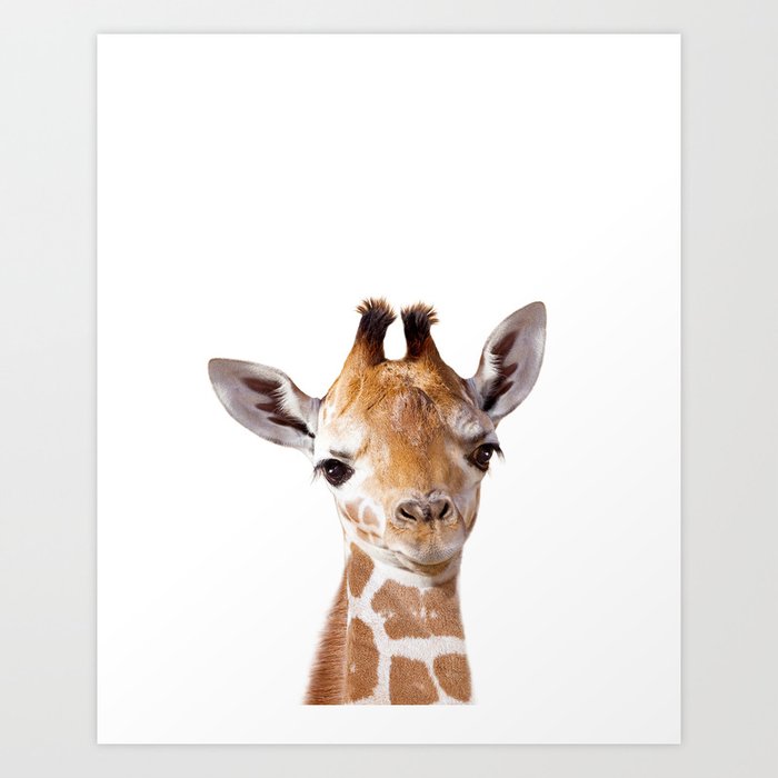 Baby Giraffe, Safari Animals, Kids Art, Baby Animals Art Print By Synplus Art Print