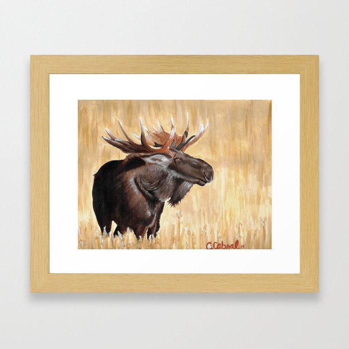 Moose-19 Framed Art Print