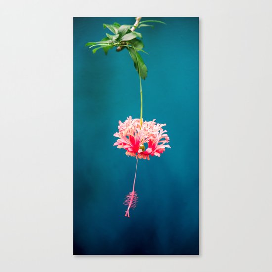 Tropical Blue 1 Canvas Print