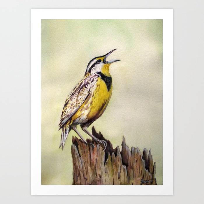 Western Meadowlark Watercolor Print Art Print