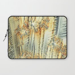Vitamin C Sources for Happiness Laptop Sleeve