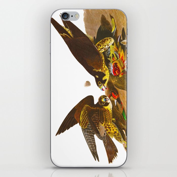 Great-footed Hawk iPhone Skin