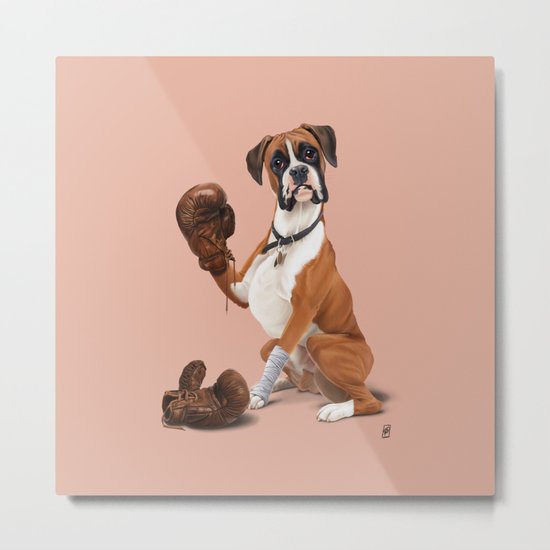 The Boxer (colour) Metal Print