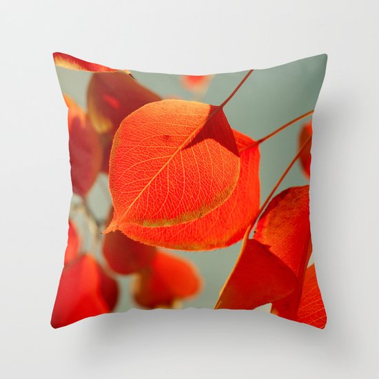 Orange Throw Pillow