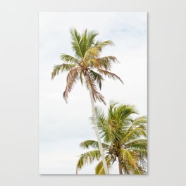 Floridian Palms #1 #tropical #wall #art #society6 Canvas Print