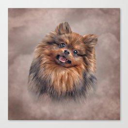 Drawing Dog Pomeranian Spitz Canvas Print