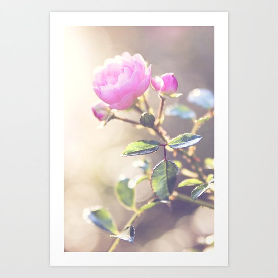 HAZE Art Print