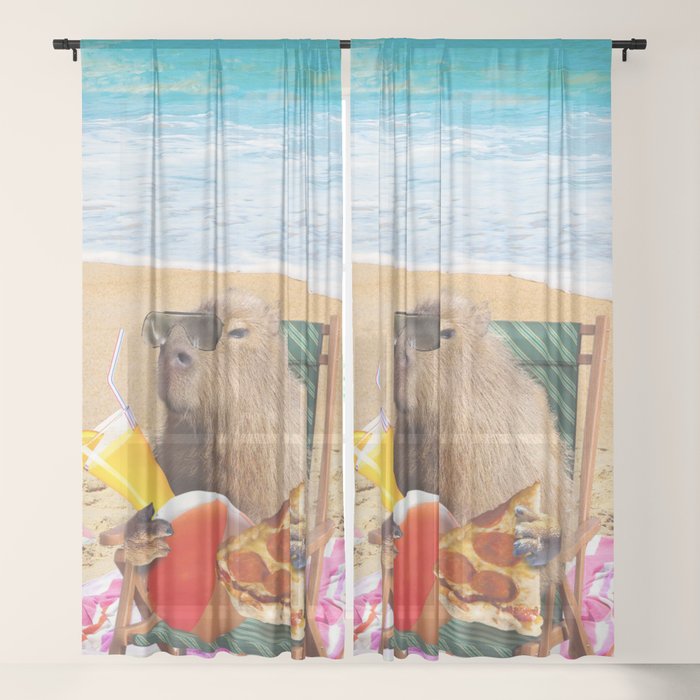 Sheer Curtain