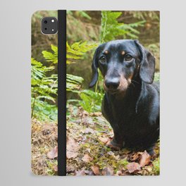 One Worlds Best Loved Dog Breeds iPad Folio Case