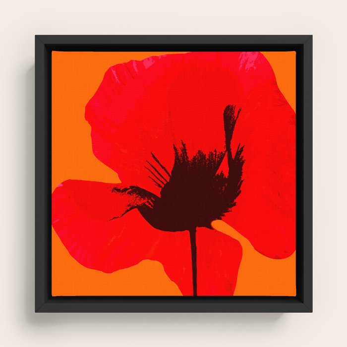 Framed Canvas