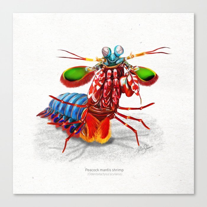 Canvas Print