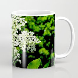 Blossom of elder Mug