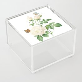 Vintage White Bengal Rose Botanical Illustration on Pure White Acrylic Box