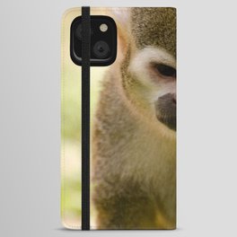 Brazil Photography - Monkey Eating A Grass Straw iPhone Wallet Case