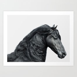 Black Beauty - Minimalist Black and White Photography Art Print