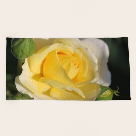 Rose Beach Towel