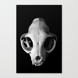 Cat Skull Canvas Print