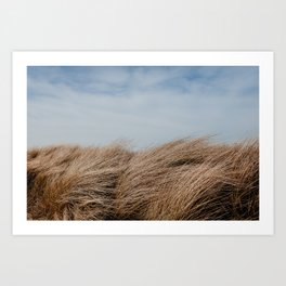 Beach life | Sand dunes | Nature | Landscape | Photography art print Art Print