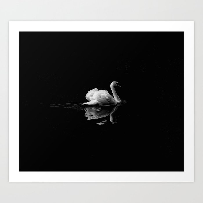 Black swan Art Print