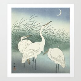 Herons in Shallow Water, Ohara Koson, 1934 Art Print