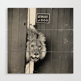 Beware of Dog black and white photograph of attack lion humorous black and white photography Wood Wall Art