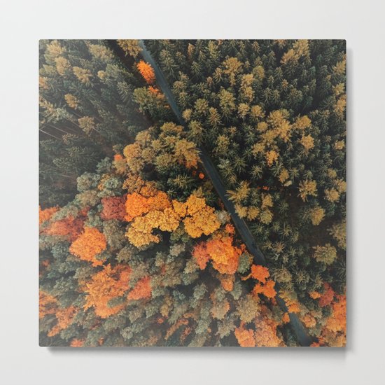 forest orange 4 Metal Print
