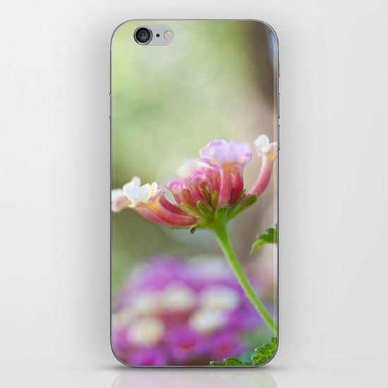 Lantana iPhone & iPod Skin