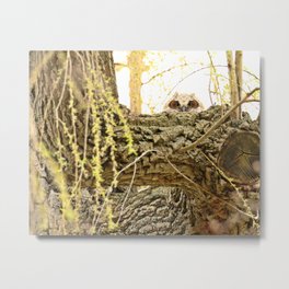 I see you Metal Print | Amazing, Naturelover, Nature, Intense, Wildlife, Cool, Littleowl, Bird, Forest, Tree 