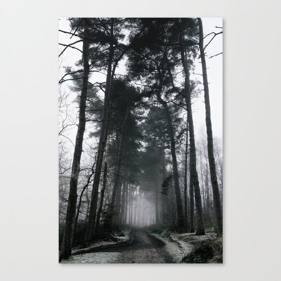 The long way home Canvas Print