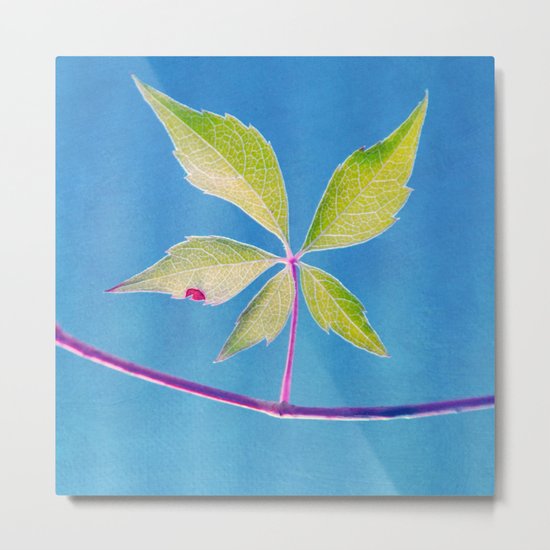 swing Metal Print
