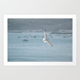 Beach Photography - Seagull Bird - Pastel Ocean Travel Print Art Print