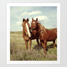 Horse Affection Art Print