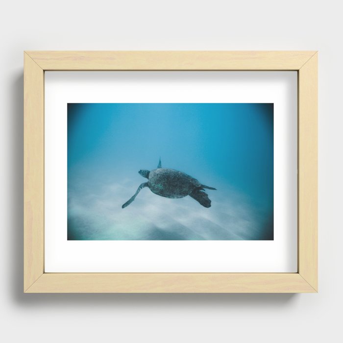 Turtle In The Sea Recessed Framed Print