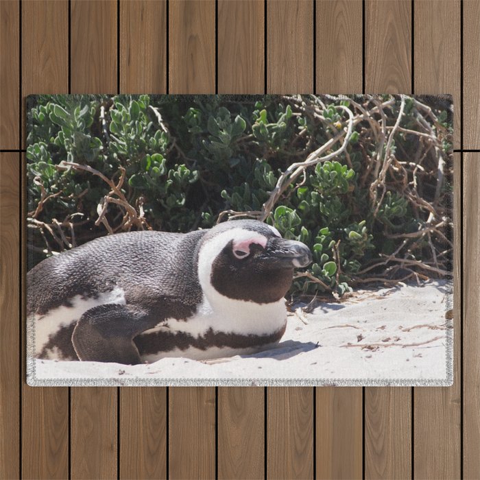 South Africa Photography - Penguin Laying At The Beach Outdoor Rug