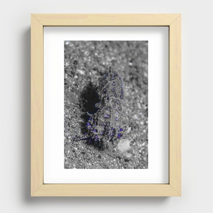 Blue-ringed octopus (B&W except for the rings) Recessed Framed Print