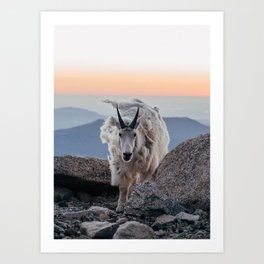 GOAT Art Print