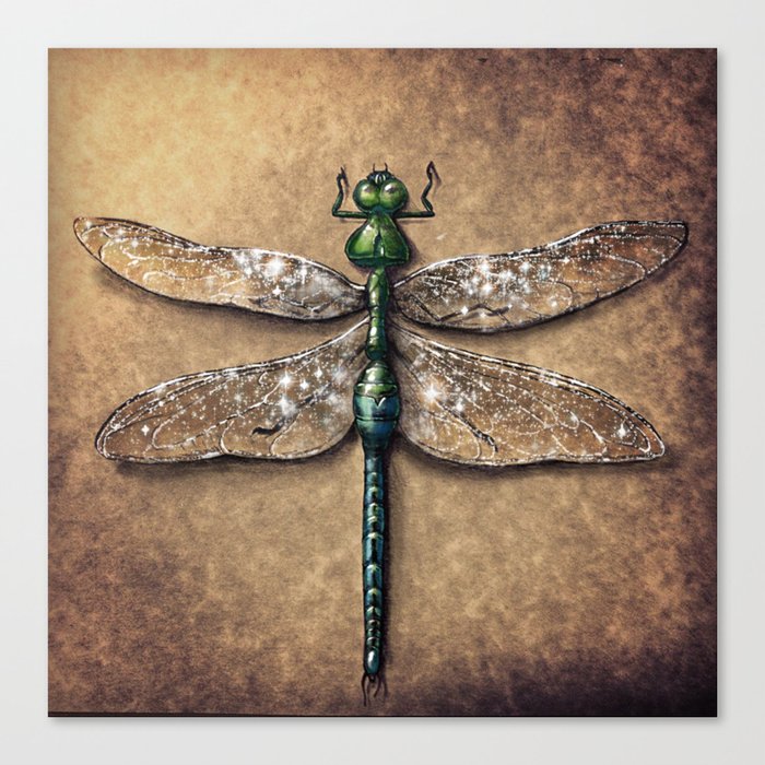 Dragonfly  Canvas Print