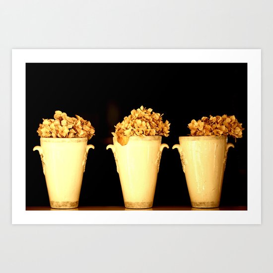 Three Pots Art Print