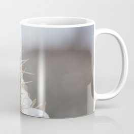 Cane Cholla Cactus with Snow Cap Coffee Mug