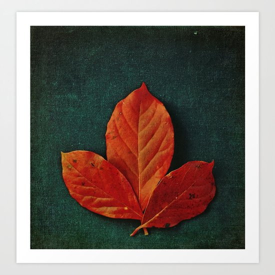New Leaf Art Print